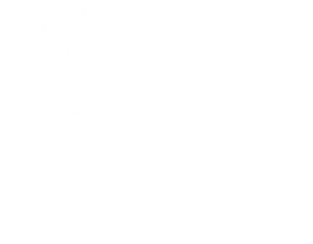 MG Group Exports