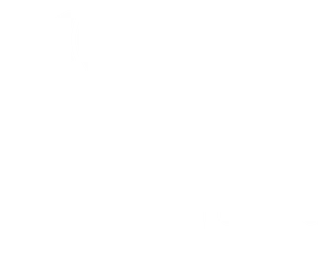 MG Group Exports
