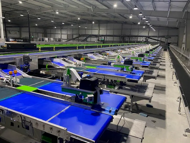 Rows of blue grading belts running the length of the new packhouse