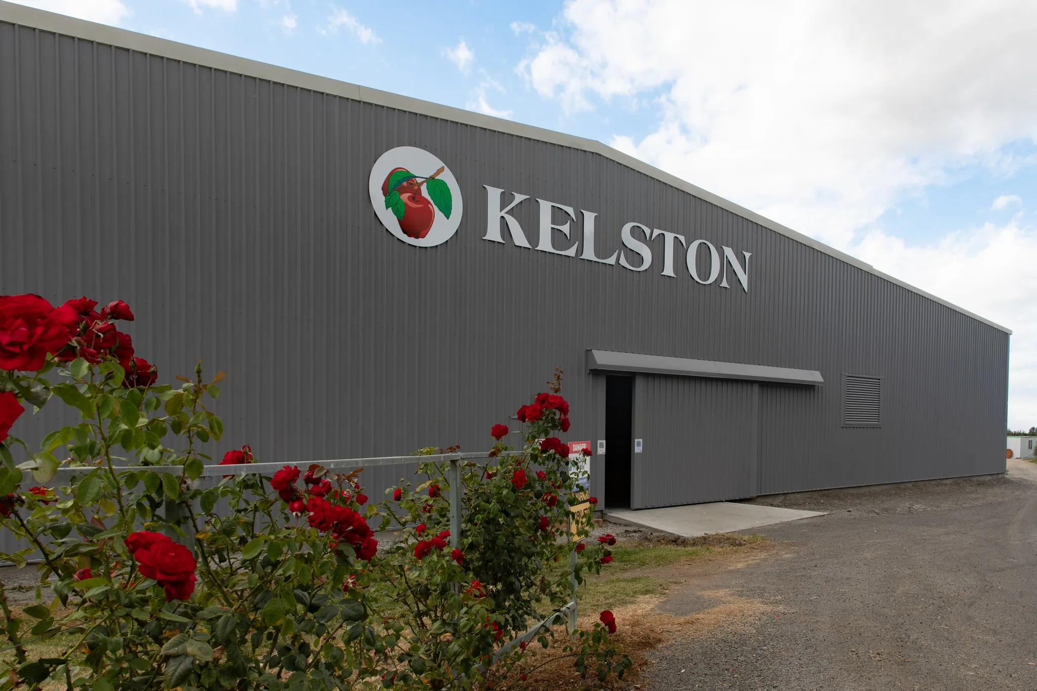 The Kelston Orchards packhouse behind a hedge of red roses