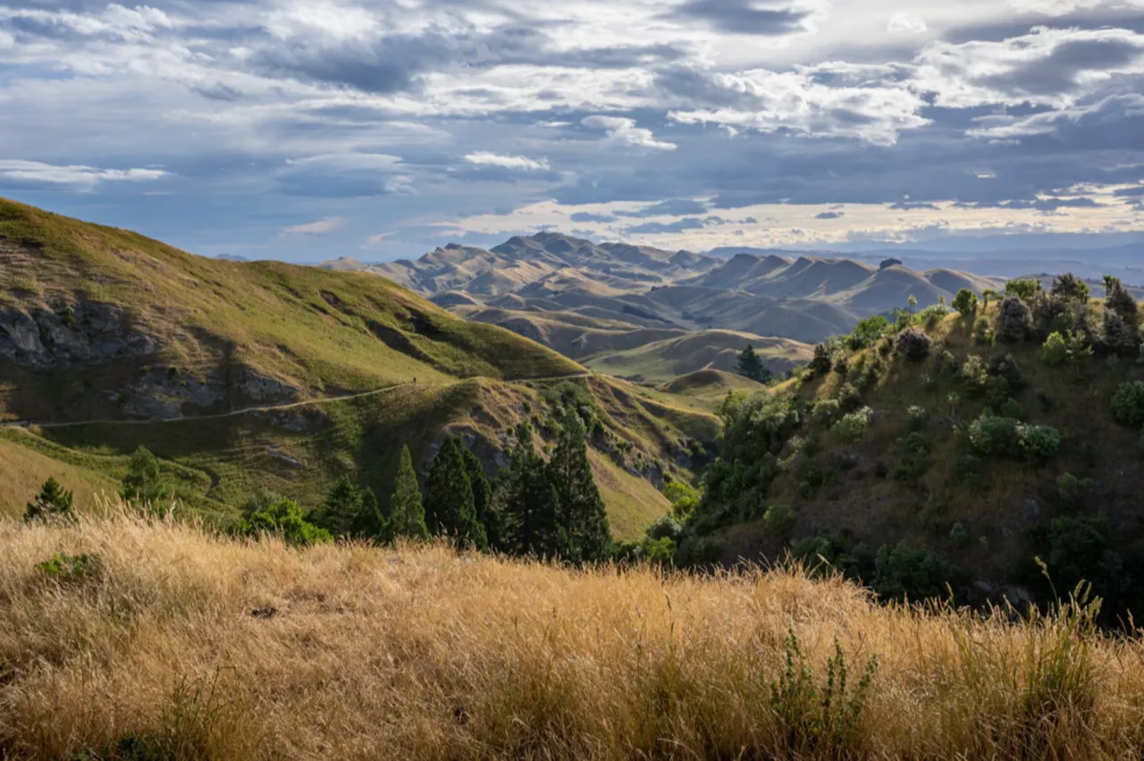 The hills of Te Mata Park under a broken sky