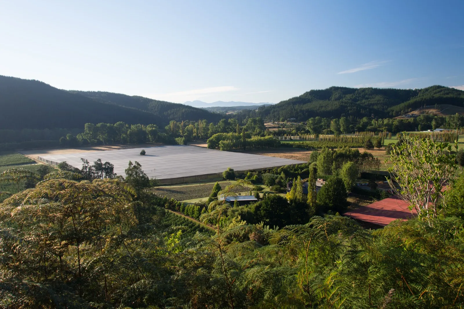 Berry farm nestled in a New Zealand valley