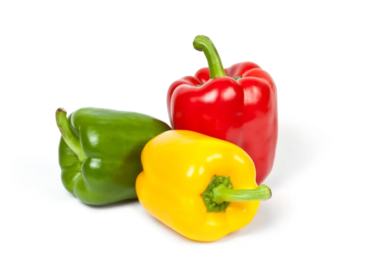 Red, green and yellow capsicums