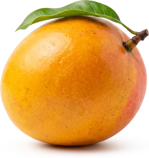 Ripe R2E2 mango