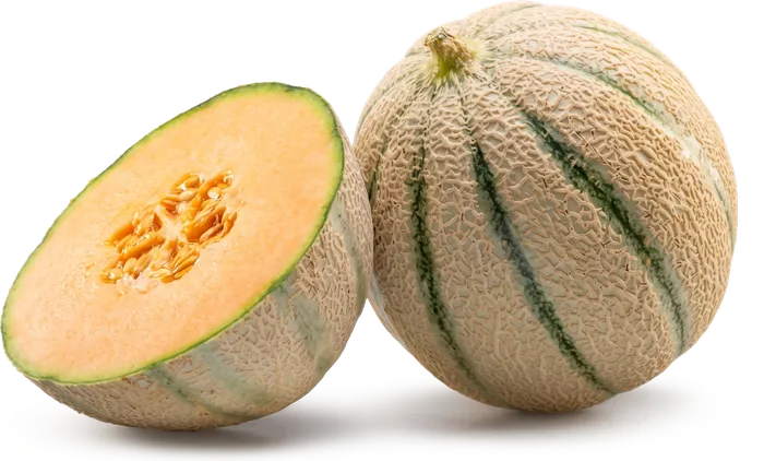 Rockmelon cut in half