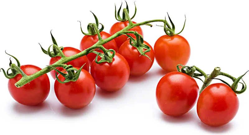 Cherry tomatoes on the vine