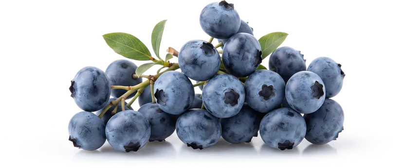 Cluster of blueberries