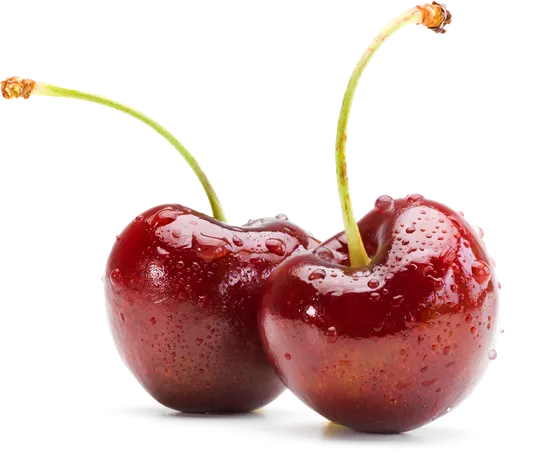 Pair of fresh cherries