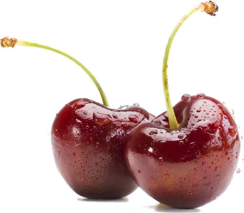 Pair of cherries on long stems