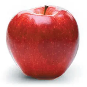 NZ Queen apple