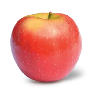 Snap Dragon apple
