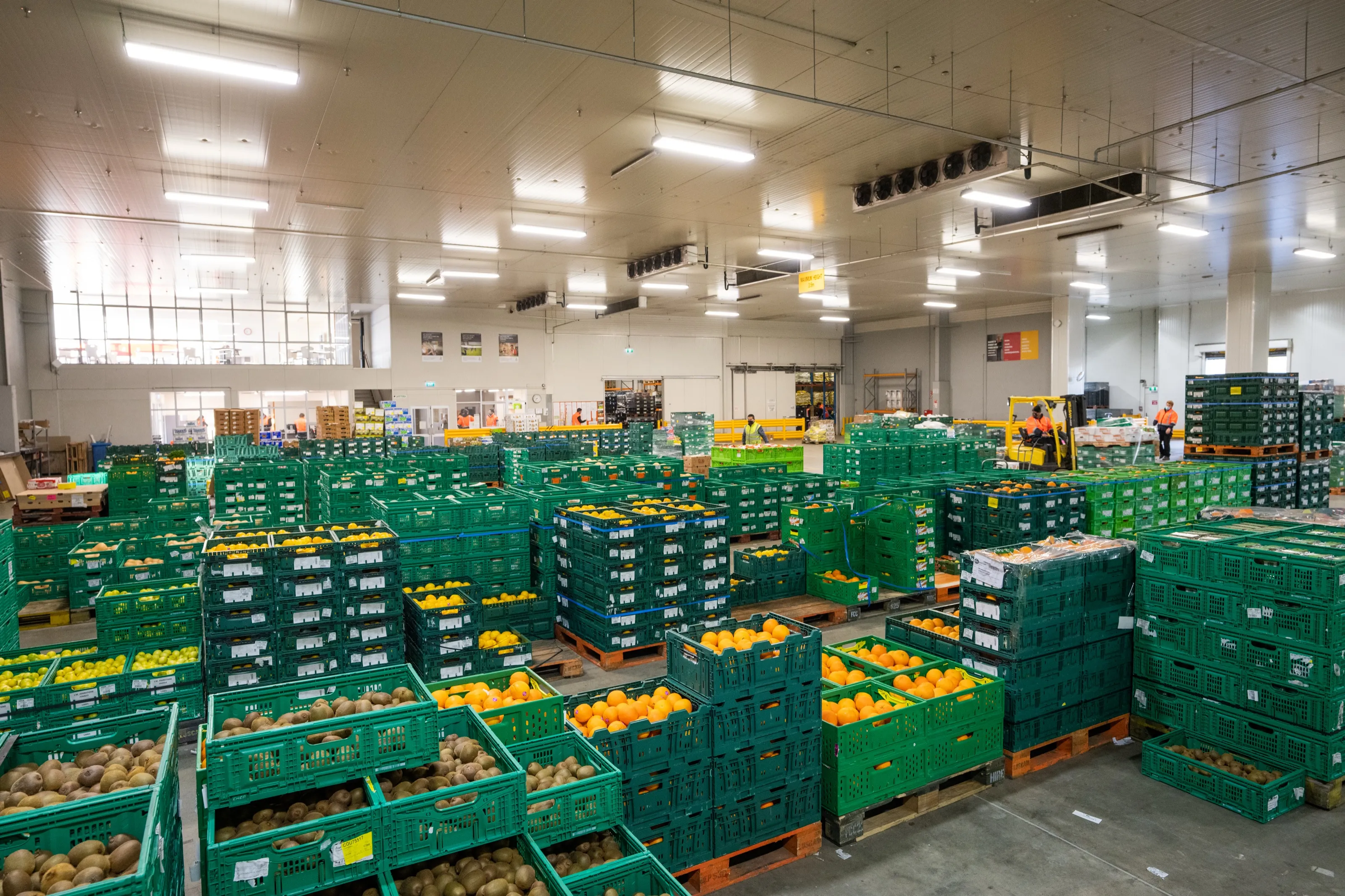 Fresh produce crates arranged inside an MG Group warehouse
